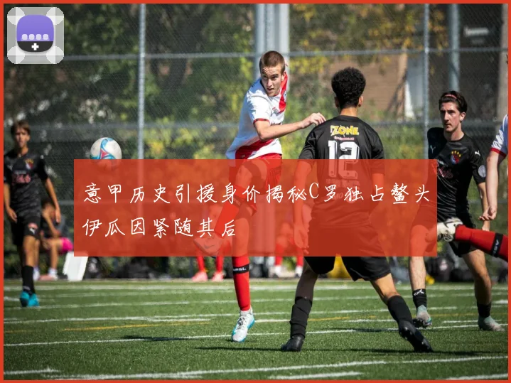 意甲历史引援身价揭秘C罗独占鳌头伊瓜因紧随其后